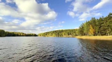 Öğleden sonra Finlandiya 'nın en büyük gölü olan Saimaa' nın kıyılarının manzarası. Nesli tükenmekte olan bir tatlı su foku olan Saimaa halkalı foku sadece Saimaa 'da yaşar. Soyu tükenmekte olan göllerden biri de Saimaa somonu. Yüksek kaliteli film