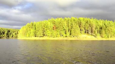 Öğleden sonra Finlandiya 'nın en büyük gölü olan Saimaa' nın kıyılarının manzarası. Nesli tükenmekte olan bir tatlı su foku olan Saimaa halkalı foku sadece Saimaa 'da yaşar. Soyu tükenmekte olan göllerden biri de Saimaa somonu. Yüksek kaliteli film
