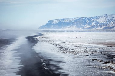 Dyrholaey Promontory, İzlanda, Kuzey Atlantik Okyanusu