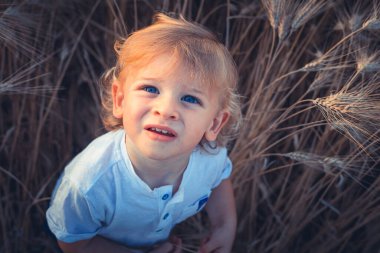 Küçük güzel çocuk kameraya bakar buğday tarlasında