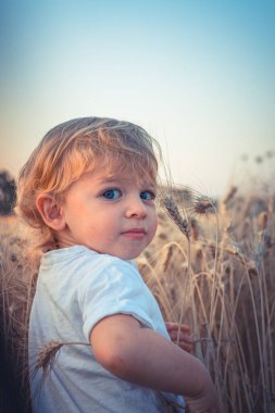 Küçük güzel çocuk kameraya bakar buğday tarlasında