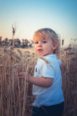 Küçük güzel çocuk kameraya bakar buğday tarlasında