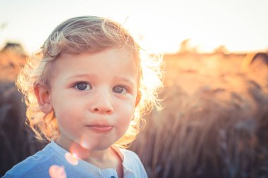 Küçük güzel çocuk kameraya bakar buğday tarlasında