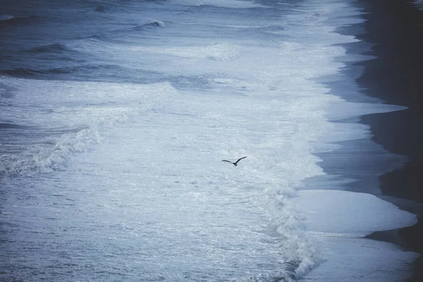 Dyrholaey Promontory Islanda Oceano Atlantico Settentrionale — Foto Stock