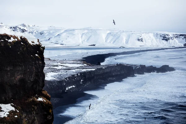 Dyrholaey Promontory Iceland North Atlantic Ocean — Stock Photo, Image