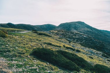 Tepelerde çalılarla dolu vahşi bir manzara.