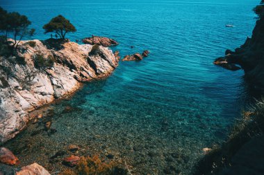 Güneşli bir günde sığ kristal suları olan güzel, küçük bir koyda deniz manzarası.