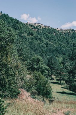 İspanya 'daki dağların manzarası. Yeşil ağaçlarla güneşli bir yaz günü