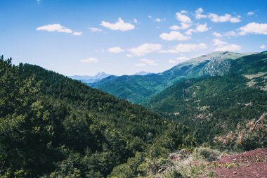 İspanya 'daki dağların manzarası. Yeşil ağaçlarla güneşli bir yaz günü