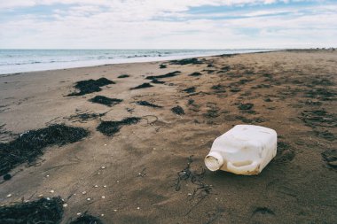 Plajda yıkanmış büyük bir plastik şişe. Dünyadaki plastiğin çevresel sorununu görüyorsunuz.