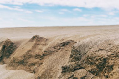 Ebro deltasındaki ıssız kum tepeleri, Tarragona, İspanya. Hava bulutlu ve rüzgarlı..