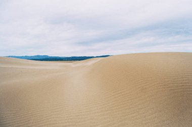 Ebro deltasındaki ıssız kum tepeleri, Tarragona, İspanya. Hava bulutlu ve rüzgarlı..