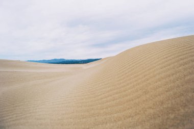 Ebro deltasındaki ıssız kum tepeleri, Tarragona, İspanya. Hava bulutlu ve rüzgarlı..