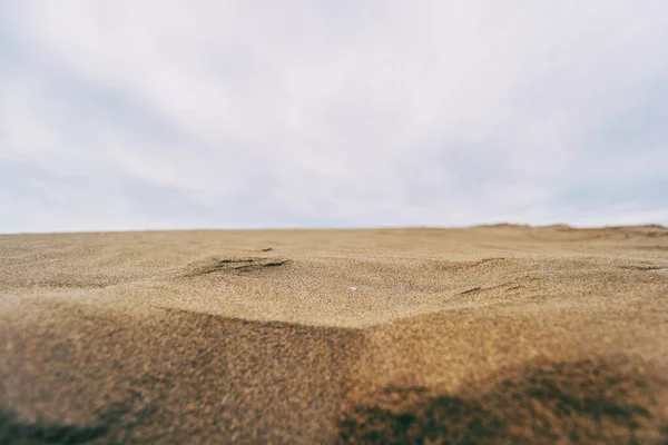 Dunas Solitárias Delta Ebro Tarragona Espanha Dia Está Nublado Ventoso — Fotografia de Stock