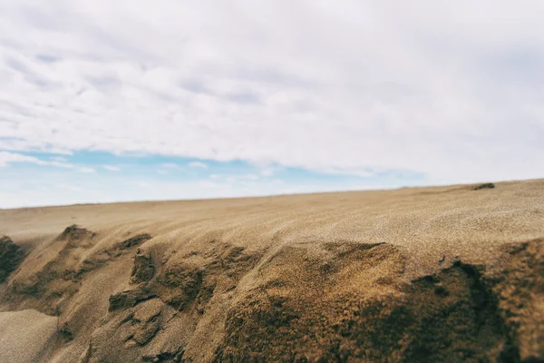 Dunas Solitárias Delta Ebro Tarragona Espanha Dia Está Nublado Ventoso — Fotografia de Stock