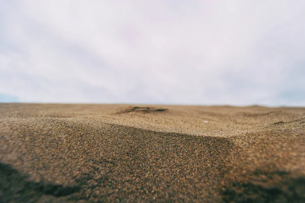 Dunas Solitárias Delta Ebro Tarragona Espanha Dia Está Nublado Ventoso — Fotografia de Stock