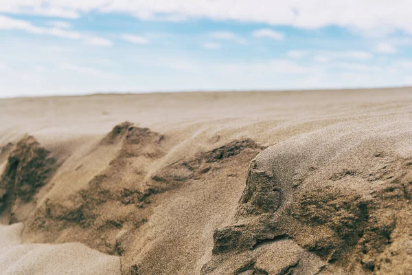 Ebro deltasındaki ıssız kum tepeleri, Tarragona, İspanya. Hava bulutlu ve rüzgarlı..