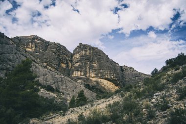 Katalonya, İspanya 'da yeşil ormanlarla çevrili, yolda bir sürü taş bulunan sakin bir dere.