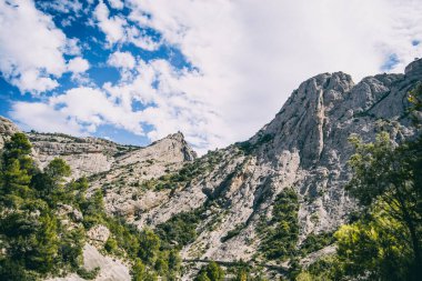 Katalonya, İspanya 'da yeşil ormanlarla çevrili, yolda bir sürü taş bulunan sakin bir dere.