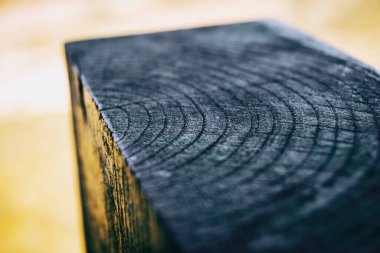 Düzensiz şekilde kırılmış bir ağacın iç dokusunun ayrıntıları.