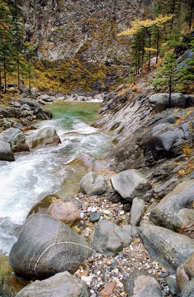 Paysages de la nature dans la chaîne de montagnes de Sayan (automne  ) — Photo