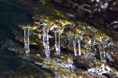 Baykal Gölü buz makro evren