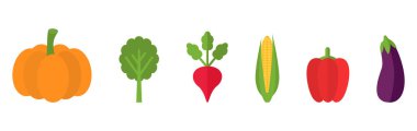 Beyaz arka planda izole edilmiş sebze ikonu. Balkabağı, ıspanaklı turp, biberli patlıcan. Sağlıklı yiyecekler. Organik, doğal vejetaryen, biyoekolojik. Beslenme elementi. Vektör illüstrasyonu
