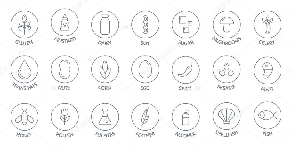 Allergen line icon big set. Nut, corn, milk, honey, gluten mustard, gmo sesame, lactose fish, egg mollusk free. Organic and natural food labels. Allergy warning ingredients. Vector illustration.