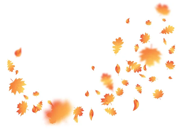 Podzimní list létá na pozadí. Den díkůvzdání. Podzimní složení javoru. Říjnový rám listoví. Dub opouští plakát ze září. Oranžová rostlina. Pozvánka na večírek. Vektorová ilustrace — Stockový vektor