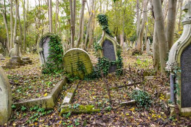 Londra, İngiltere - 11 / 01 / 20 - Londra 'nın kuzeyindeki tarihi Highgate mezarlığında soğuk bir sonbahar günü - İngiltere