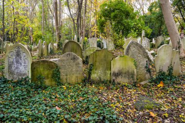 Londra, İngiltere - 11 / 01 / 20 - Londra 'nın kuzeyindeki tarihi Highgate mezarlığında soğuk bir sonbahar günü - İngiltere