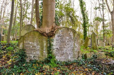 Londra, İngiltere - 11 / 01 / 20 - Londra 'nın kuzeyindeki tarihi Highgate mezarlığında soğuk bir sonbahar günü - İngiltere