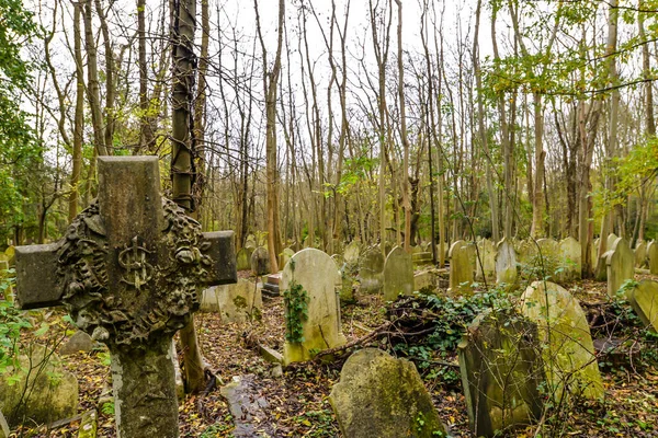 Londra, İngiltere - 11 / 01 / 20 - Londra 'nın kuzeyindeki tarihi Highgate mezarlığında soğuk bir sonbahar günü - İngiltere