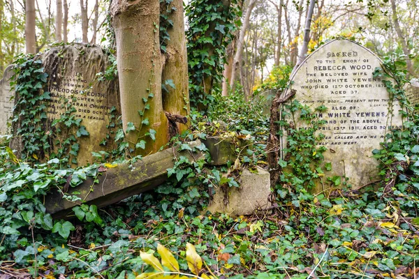 ロンドン イギリス ロンドン北部の歴史的ハイゲート墓地の寒い秋の日 イギリス — ストック写真