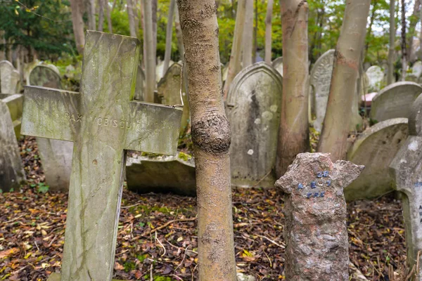 Londyn Wielka Brytania Zimny Jesienny Dzień Zabytkowym Cmentarzu Highgate Północy — Zdjęcie stockowe