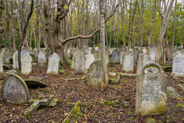 Londyn Wielka Brytania Zimny Jesienny Dzień Zabytkowym Cmentarzu Highgate Północy — Zdjęcie stockowe
