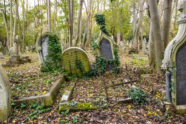 Londra Regno Unito Una Fredda Giornata Autunnale Nello Storico Cimitero — Foto Stock