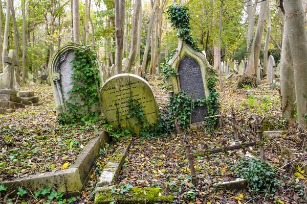 Londra Regno Unito Una Fredda Giornata Autunnale Nello Storico Cimitero — Foto Stock