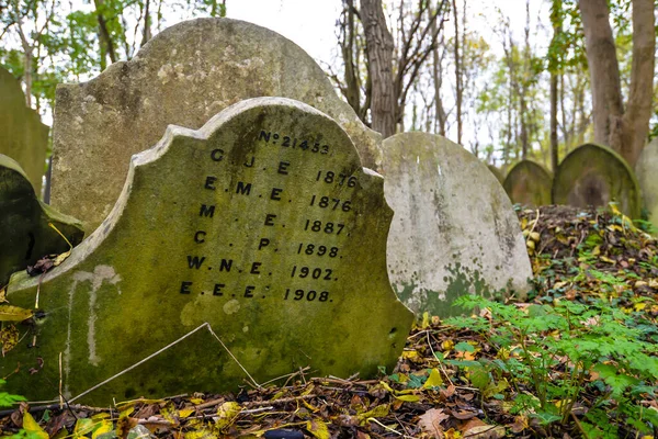 Londyn Wielka Brytania Zimny Jesienny Dzień Zabytkowym Cmentarzu Highgate Północy — Zdjęcie stockowe