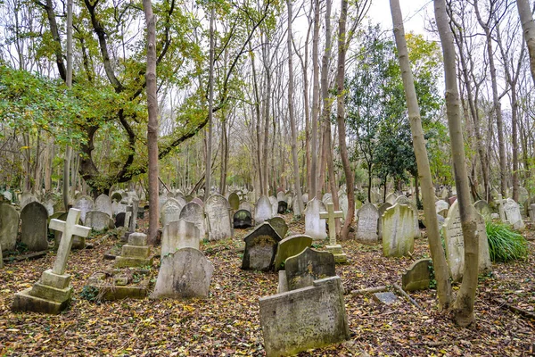 Londra, İngiltere - 11 / 01 / 20 - Londra 'nın kuzeyindeki tarihi Highgate mezarlığında soğuk bir sonbahar günü - İngiltere