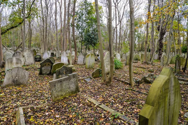 Londra Regno Unito Una Fredda Giornata Autunnale Nello Storico Cimitero — Foto Stock