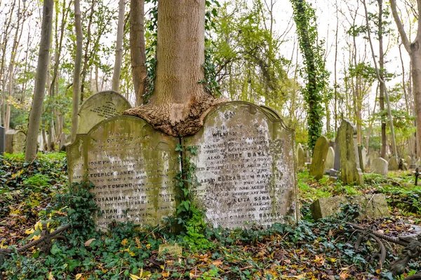 ロンドン イギリス ロンドン北部の歴史的ハイゲート墓地の寒い秋の日 イギリス ストック写真