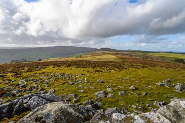 Devon, İngiltere 'deki Dartmoor Ulusal Parkı' nın vahşi çorak arazisi.