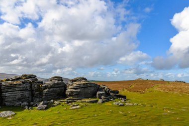 Devon, İngiltere 'deki Dartmoor Ulusal Parkı' nda bir yazar.