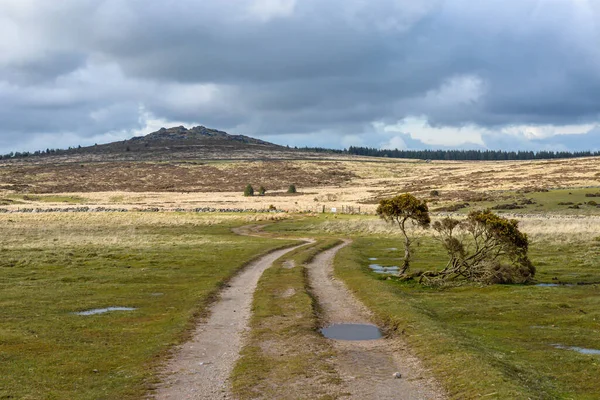 Det Vilda Karga Landskapet Dartmoor National Park Devon Storbritannien — Stockfoto