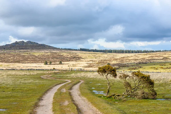 Rutt Genom Det Vilda Karga Landskapet Dartmoor National Park Devon — Stockfoto