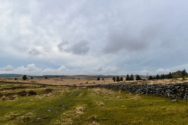 Gammal Stenmur Dartmoor National Park Devon Storbritannien — Stockfoto