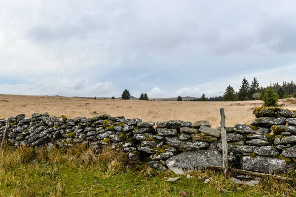 Gammal Stenmur Dartmoor National Park Devon Storbritannien — Stockfoto