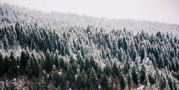 Téli tájak a magaslati település Mestia, Szvaneti, Grúzia. Hattyútornyok. — Stock Fotó