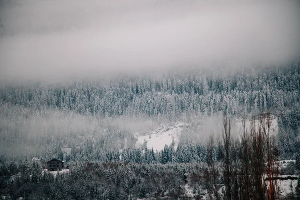 Téli tájak a magaslati település Mestia, Szvaneti, Grúzia. Hattyútornyok. — Stock Fotó